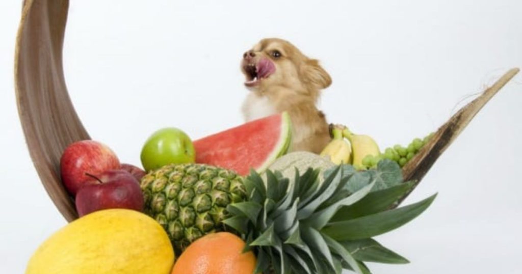 Risks of Feeding Pineapple to Dogs