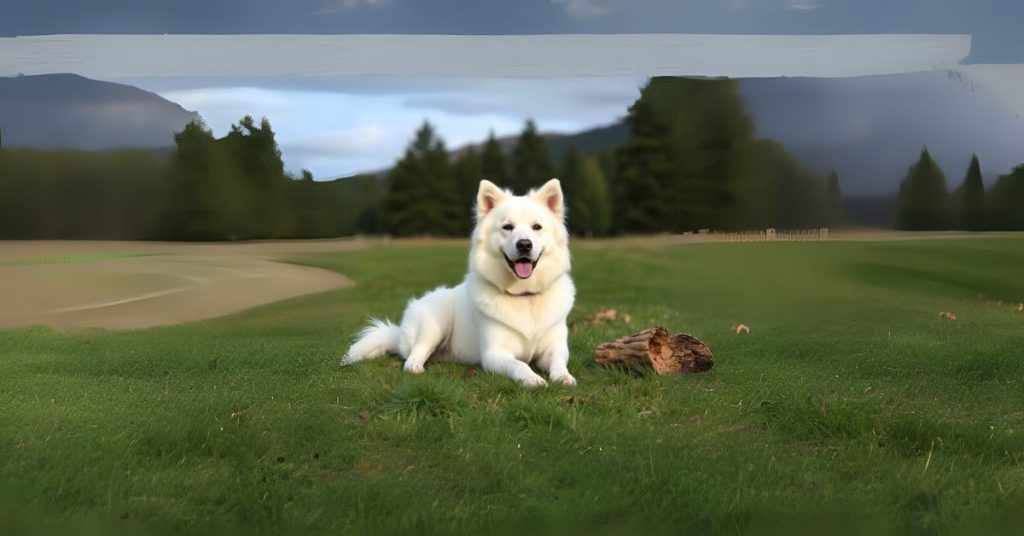 great pyrenees growth chart