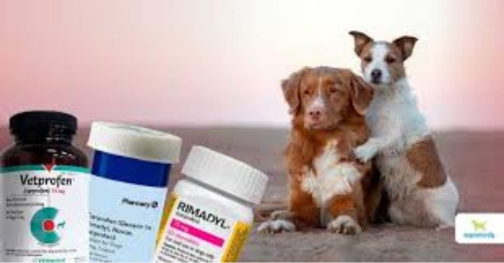 Carprofen for Dogs