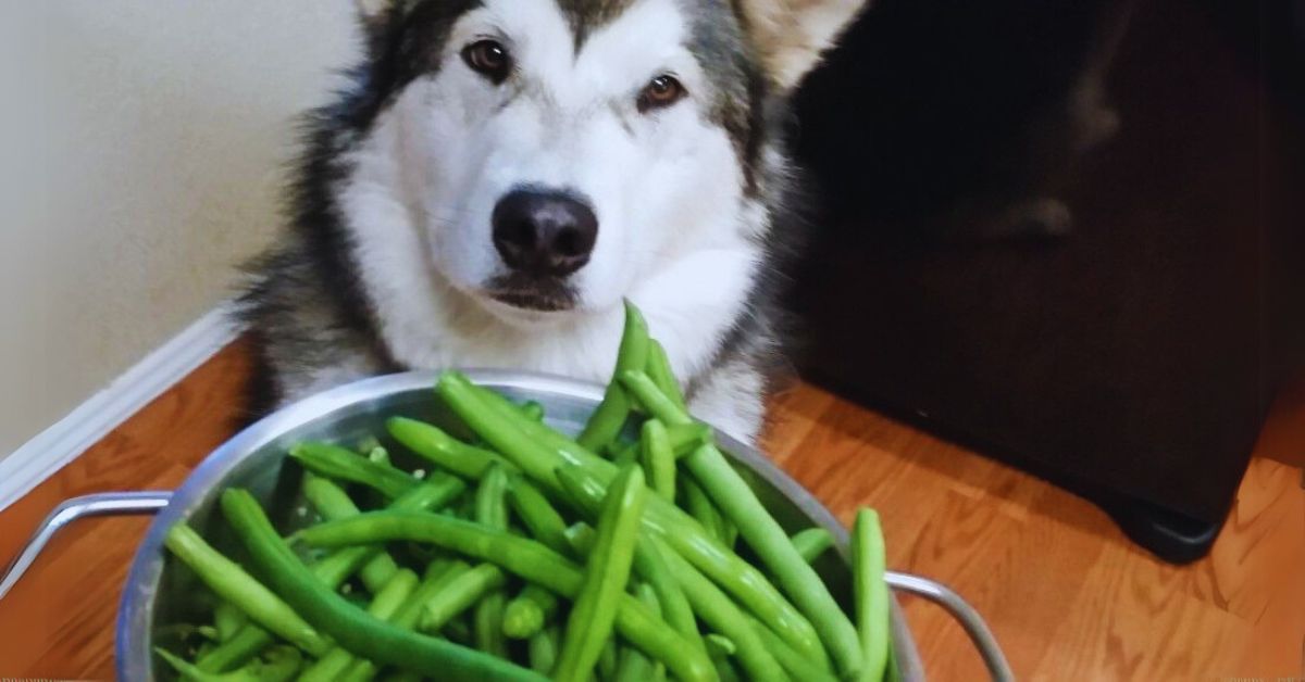 What Is the Green Bean Diet?